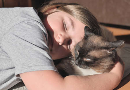 a portrait of a little girl embracin her cat. cat sleeping while girl hugging it in the evening sunlightの写真素材