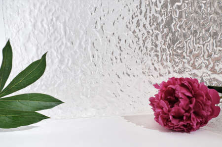 product placement showcase for cosmetic or natural self care commercials. peony flower, green leaves and textured bathroom glass door as display backgroundの写真素材