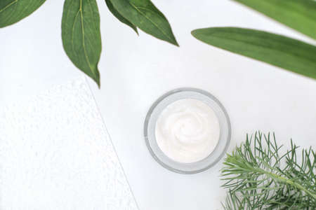 collagen peptides face cream in a white jar next to green leaves, top view. skin care with peptides with anti age and anti wrinkle effect.の写真素材