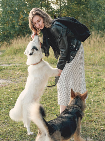 young woman walking with her dogs in a park. white yakutian laika trying to lick womans face while...