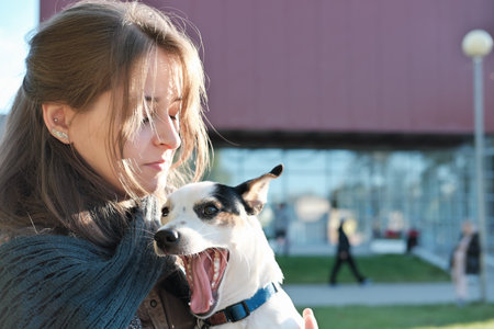 young woman holding jack russel terrier dog white it yawns. happy dog with owner outdoors. pet friend, love and togethernessの写真素材