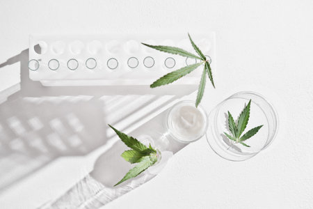 cannabis face cream and hemp leaves in laboratory . petri dishes and glassware on lab table. dermatology concept, alternative treatment. top viewの写真素材