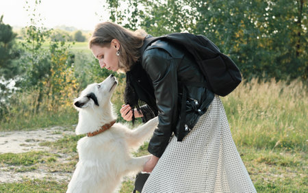 white yakutian laika dog trying to kiss a face of its owner. friendship and togetherness. pretty young woman playing with her pet. walking in a parkの写真素材