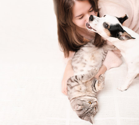 young woman playing with a cat and a dog on a bed, jack russell terrier bites owner by the nose....