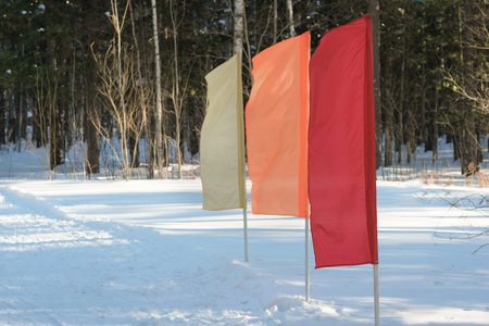 flags on a start position of ski track in a snow forest. winter sports concept