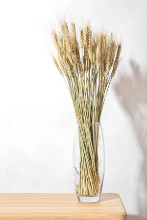 Composition with bouquet of dry barley spikelets in a glass vase, on wooden table. Stylish home decor. modern interior designの写真素材