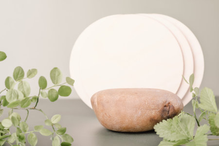 natural eco podium or pedestal for sustainable product presentation. stone ans green fresh laeves as showcase for cosmetic of health beauty care itemの写真素材