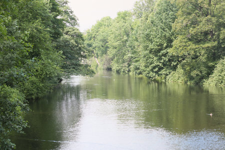 calm and slow river flowing through the forest. lush green trees growing on banks. scenic place for...