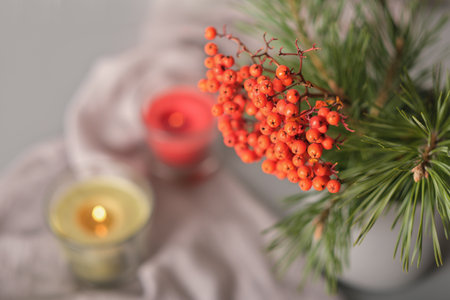 ashberry or rowan berry branch and pine needles and glowing candles on gray background. thanksgiving house decor, autumn holiday still lifeの写真素材
