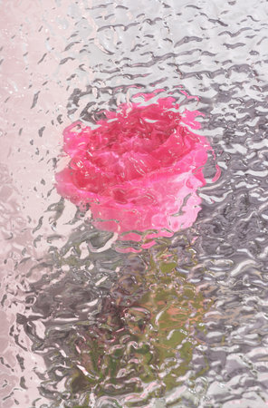 pink rose flower behind the textured glass door. defocused rose background, vertical. selective focus, blurred flower.の写真素材