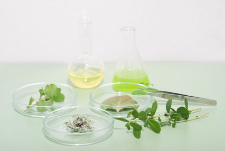 natural extracts in test tubes, plants in petri dishes and laboratory tweezers on a table