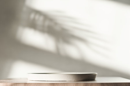 empty concrete tray for food presentation or meal placement on wooden table. copyspace. palm leaves shadow on the wall. side view.の写真素材