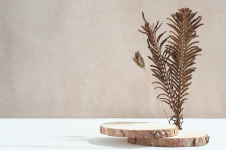 wooden round podium with dry grass decor. empty scene for product presentation, stand for packaging or marketing advertisingの写真素材