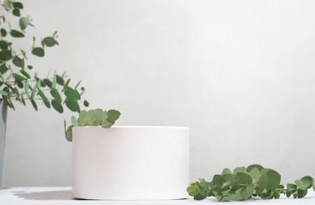 white podium for product presentation with green eucalyptus leaves, copy space. geometric pedestal display showcase.の写真素材