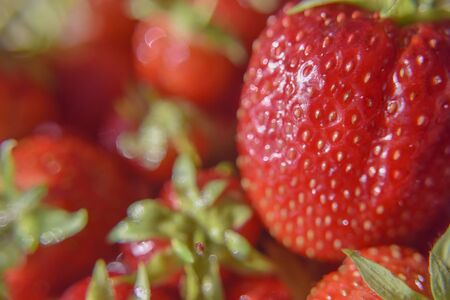 Selective focus concept. Fresh ripe juicy strawberries close-up look at the berry structureの写真素材