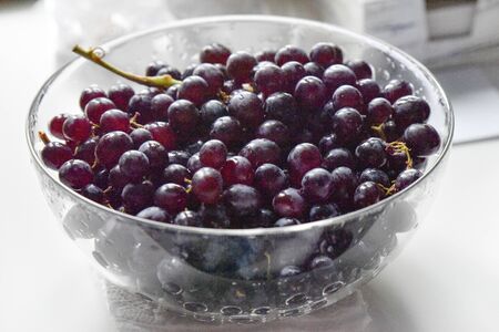 Black grape in the glass bowl with some drops of water. Healthy eating concept. Selective focus.の写真素材