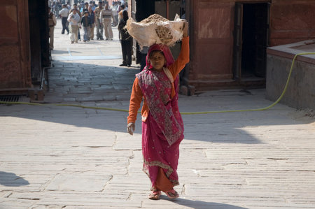 Indian woman carries sand on her head. Indian woman. India, New Delhi-January 31, 2009