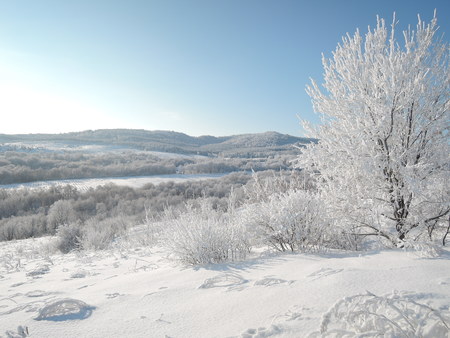 Beautiful winter landscape with forest covered with frost and snow-covered valley.の写真素材