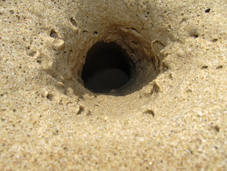 Big crab hole in the sand on the beach on a Sunny day.の写真素材