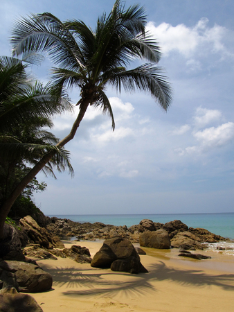 Piece of Paradise.Summer vacation on the ocean shore away from people among the clean sandy beach, azure ocean and beautiful palm treesの写真素材