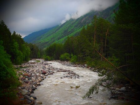 beautiful mountain landscape with dense coniferous forest rocky slopes and mountain shallow river.の写真素材