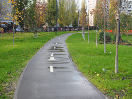 bike path in the Park in autumn