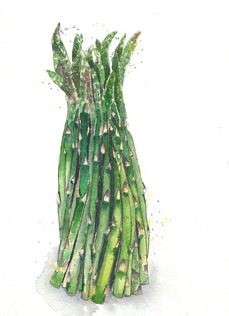 asparagusの写真素材