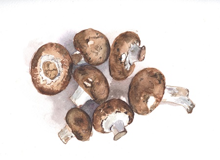 mushroomsの写真素材