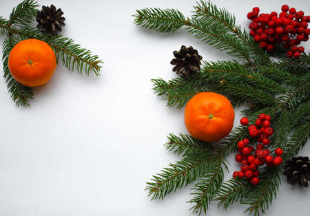 Christmas natural decorations: fir branches, cones, orange tangerines and bright red Rowan berries on a white background. The spirit and smell of Holidays. Copy space.の写真素材