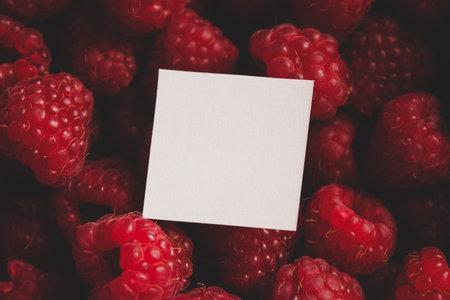 White sheet of paper for text on the background of ripe large red raspberries. Copy space.