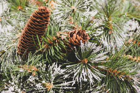 Close-up of an artificial Christmas tree with frost, snow and cones as a Christmas background.の写真素材