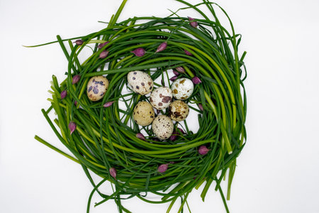 Green onions with pink buds are laid out in the form of a nest, in which quail eggs lie. Organic...