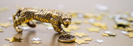 Banner with bronze figure of a tiger with a coin - the symbol of the Chinese new year 2022 on a background of golden stars, copy space. Wishes of good luck, financial well-being and wealth.の写真素材