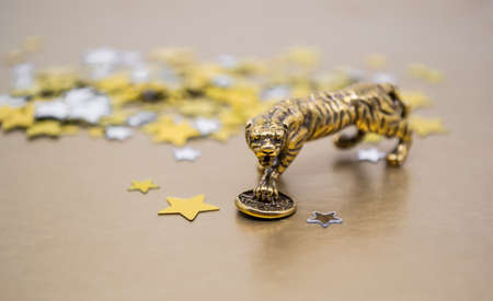 A bronze figure of a tiger with a coin - the symbol of the Chinese new year 2022 on a background of golden stars, copy space. Wishes of good luck, financial well-being and wealth.の写真素材
