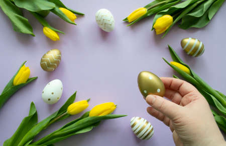 Easter greetings: hand takes golden egg, yellow tulips, painted eggs. Lilac background. copyspace.の写真素材