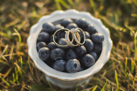 Wedding rings on the berries on grass