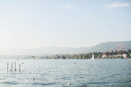 Sailboats on Lake Zurichの写真素材