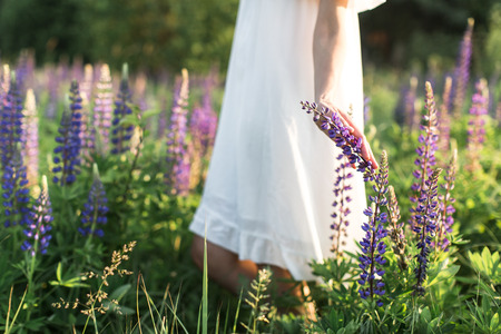 beautiful young woman in white dress in flower fieldの写真素材