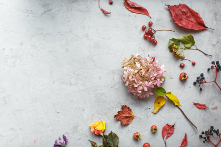 Autumn herbarium: dried flowers, berries and leaves