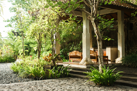 tropical landscape in Bali, jungle in Asiaの写真素材