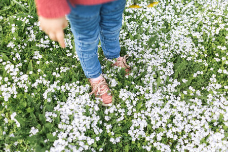 Little girl in a hat walking with flowersの写真素材