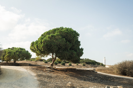 landscape with a white lighthouse. Cyprus, Paphosの写真素材