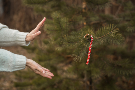 New Year's caramel on the Christmas treeの写真素材