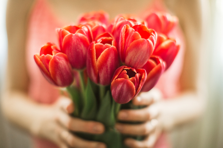 girl holding tulips in handsの写真素材