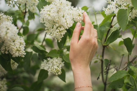 a female hand holds lilac flowersの写真素材