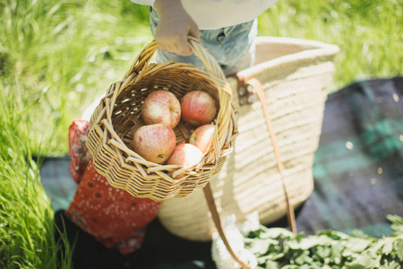 little girl with a basket of fruitの写真素材