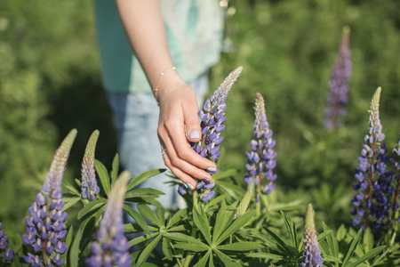 the girl is standing in the field of lupinesの写真素材