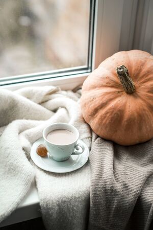 cup of cocoa and pumpkin on the windowsill in October, cozy still lifeの写真素材