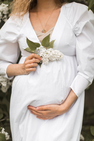 pregnant girl in the lilac gardenの写真素材