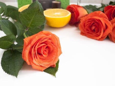 bouquet of red roses with drops of water on the petals and fresh orangeの写真素材